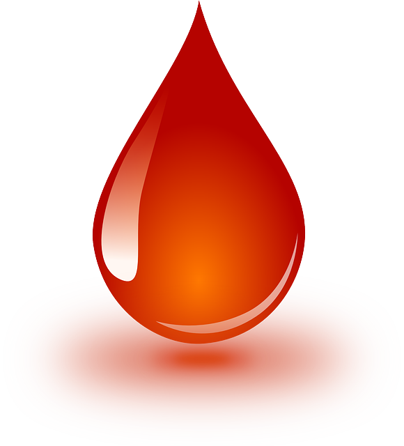 blood-g6a36c1ea2_640.png